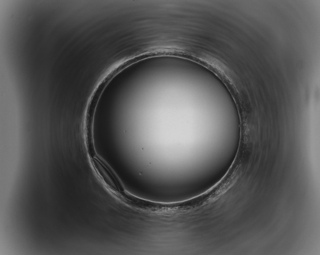 X0000097821038200803201433