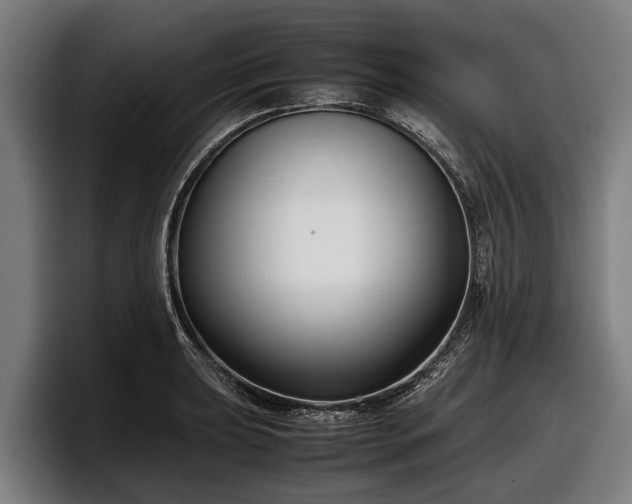 X0000097821039200803201433