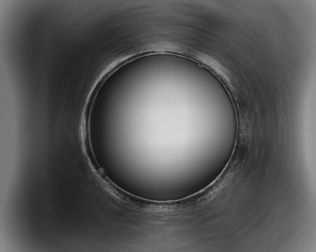 X0000097821040200803201433