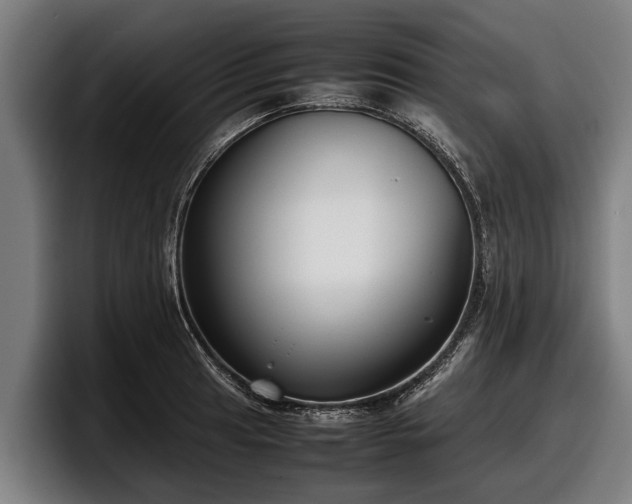 X0000097821041200803201433