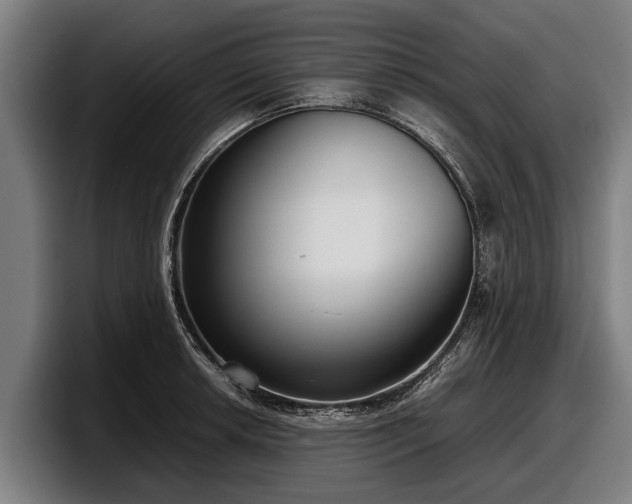 X0000097821042200803201433