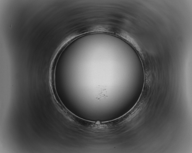 X0000097821043200803201433