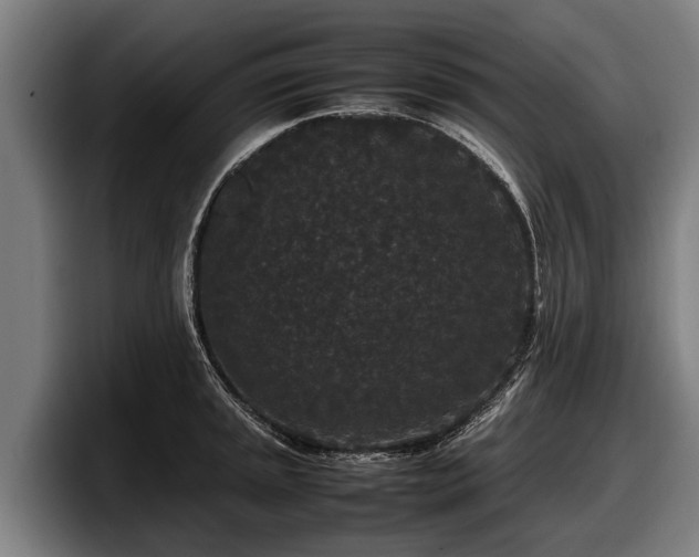 X0000097821045200803201433