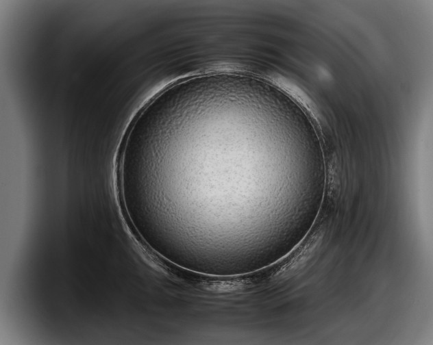 X0000097821047200803201433