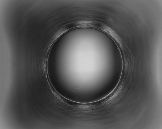 X0000097821049200803201433