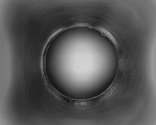 X0000097821051200803201433