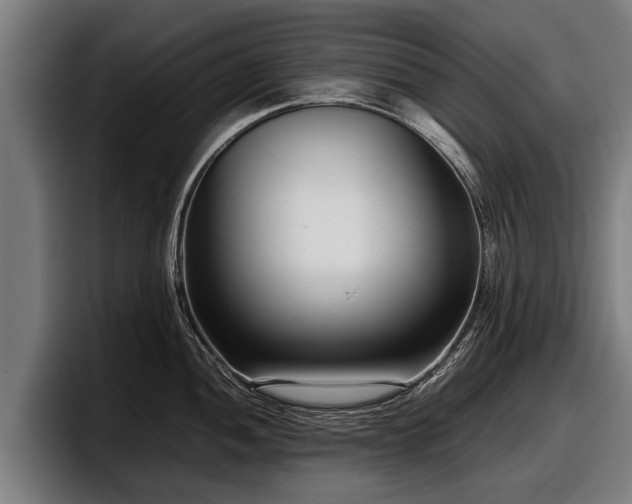 X0000097821052200803201433