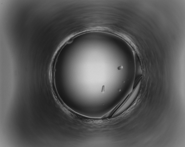 X0000097821054200803201434