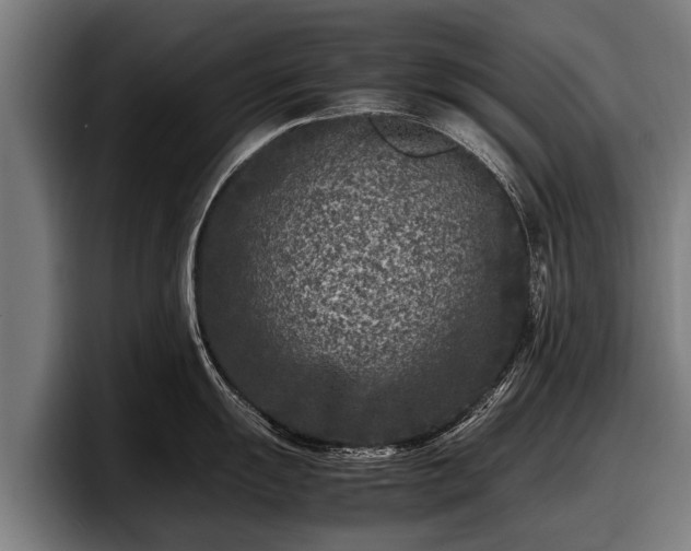 X0000097821055200803201434