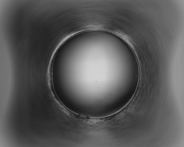 X0000097821056200803201434