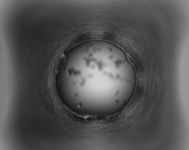 X0000097821057200803201433