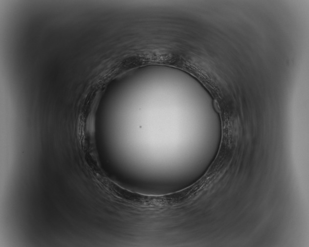 X0000097821058200803201433