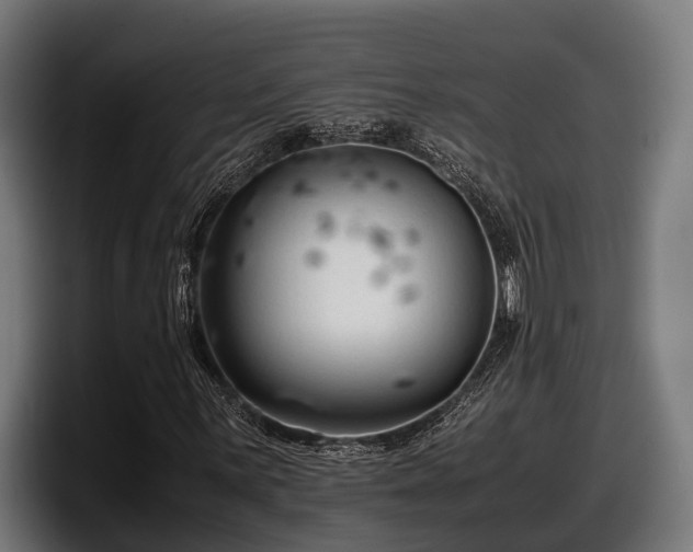 X0000097821059200803201433