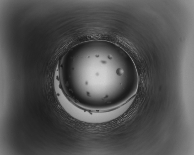 X0000097821060200803201433