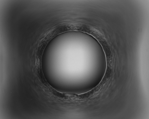 X0000097821061200803201433