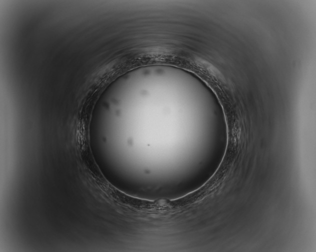 X0000097821062200803201433