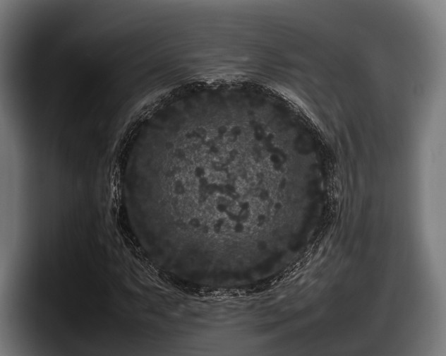 X0000097821063200803201433