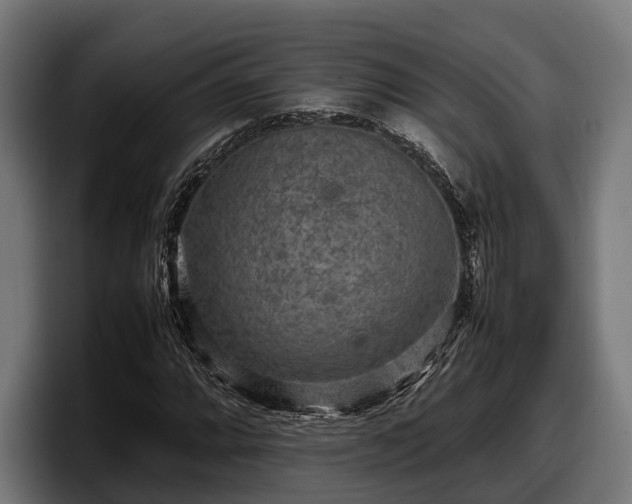 X0000097821064200803201433