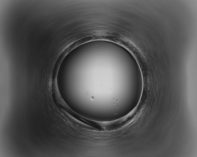 X0000097821065200803201433