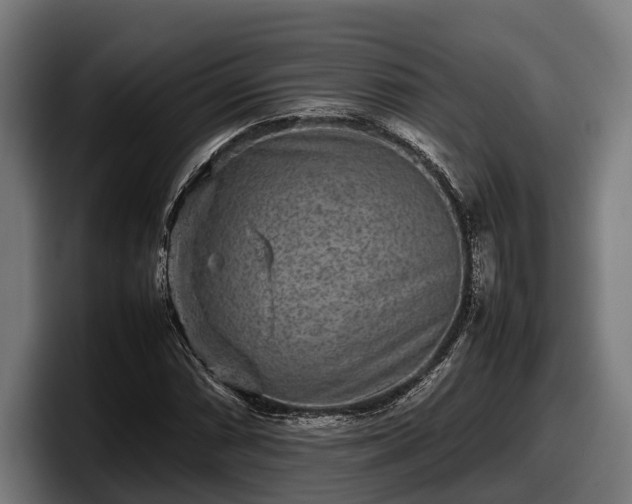 X0000097821066200803201433