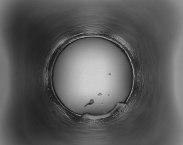 X0000097821067200803201433