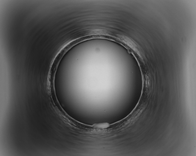 X0000097821068200803201433