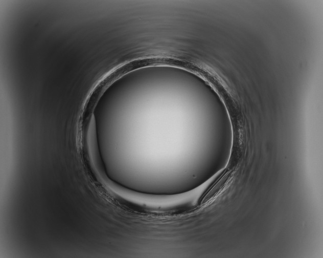 X0000097821069200803201433