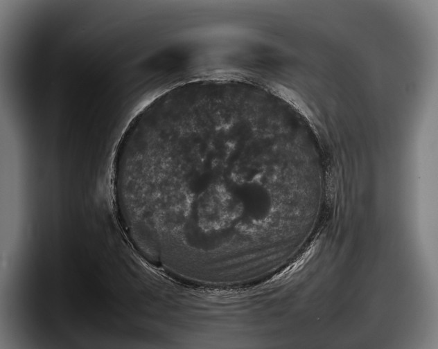 X0000097821071200803201433