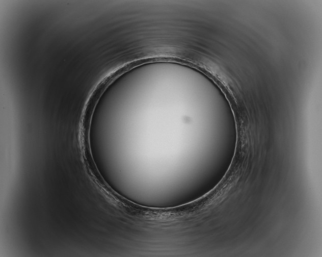 X0000097821072200803201433