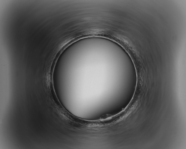 X0000097821073200803201433