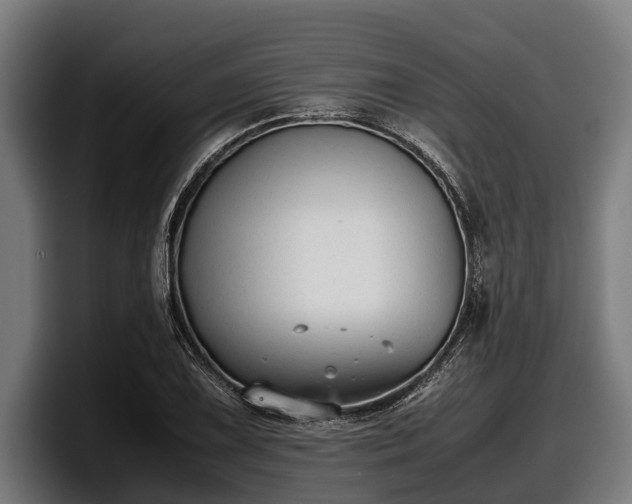 X0000097821075200803201433