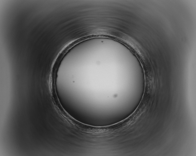 X0000097821076200803201433