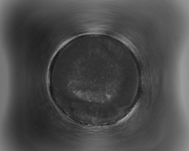 X0000097821077200803201433