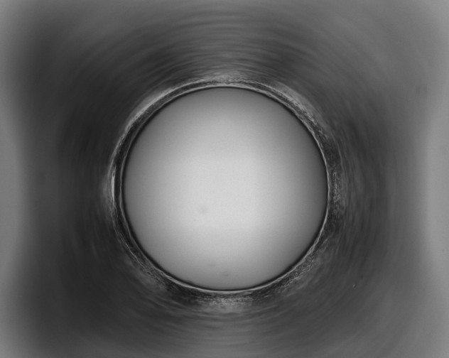 X0000097821078200803201433