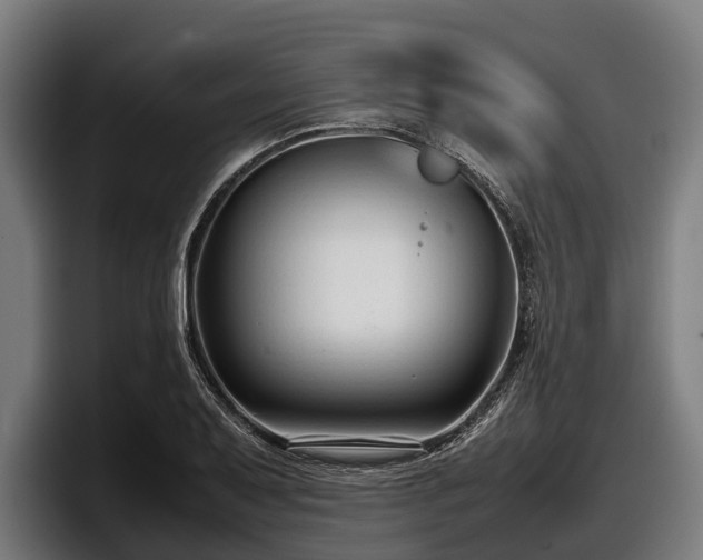 X0000097821079200803201433