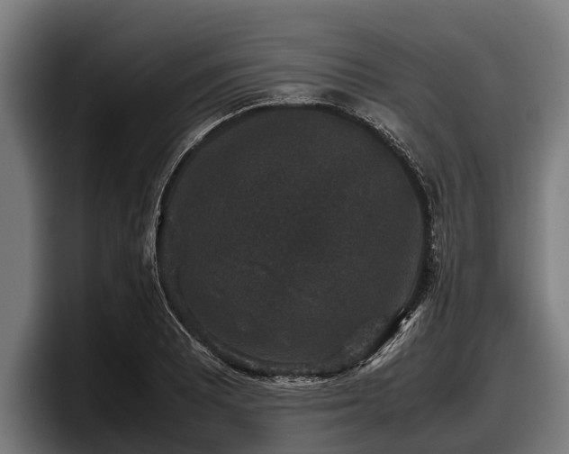 X0000097821081200803201433