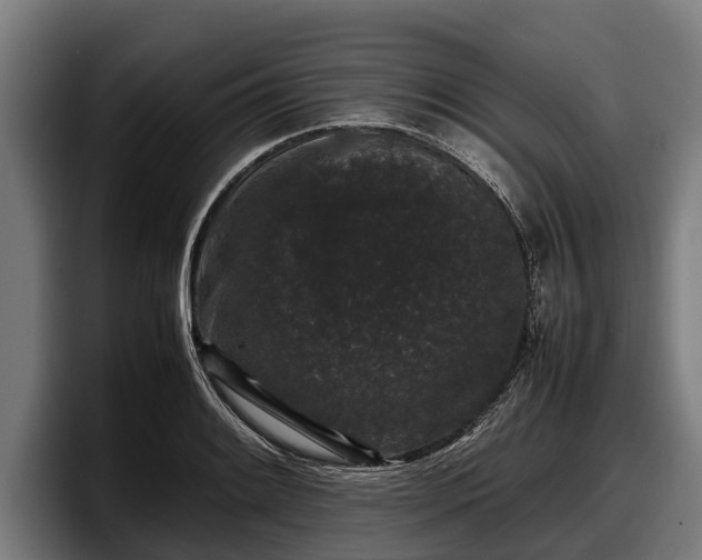 X0000097821084200803201433