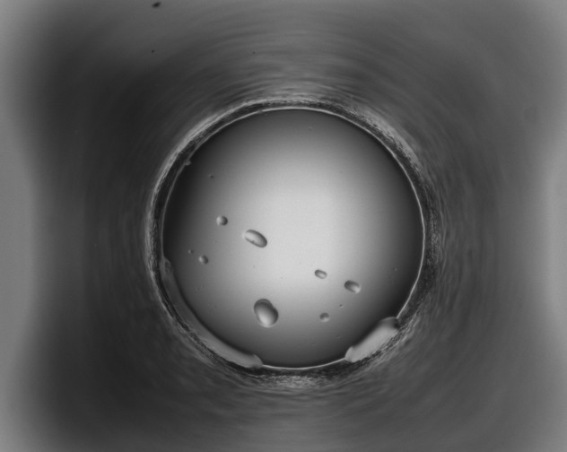 X0000097821085200803201433