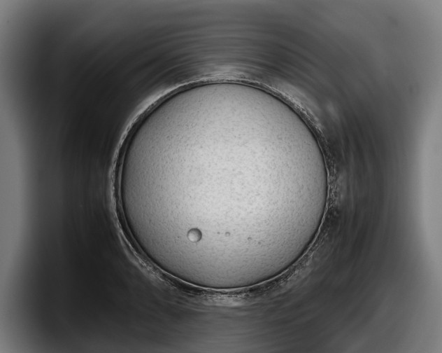 X0000097821086200803201433