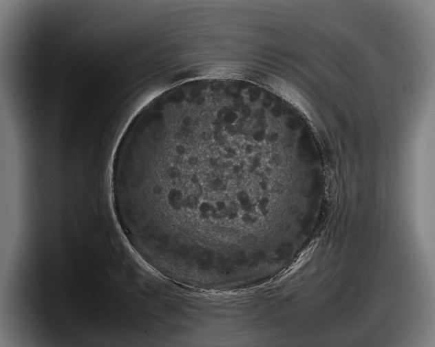 X0000097821087200803201433