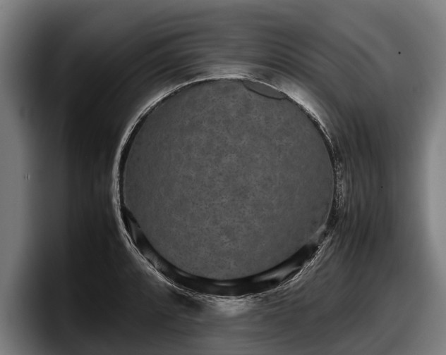 X0000097821088200803201433