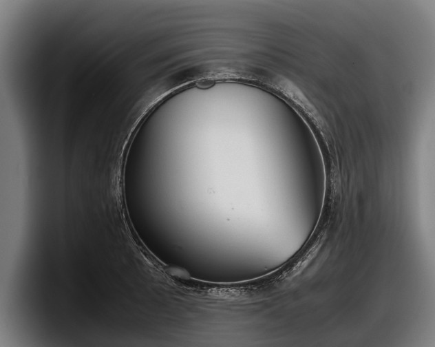 X0000097821089200803201432