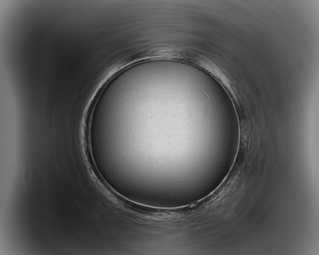 X0000097821091200803201432