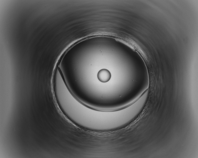 X0000097821092200803201432