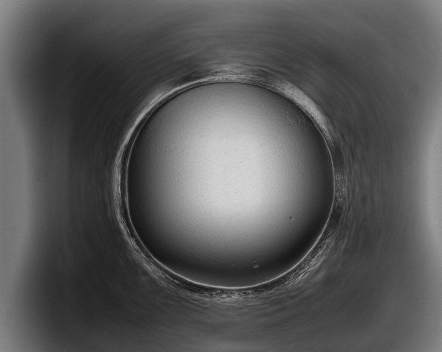 X0000097821099200803201432