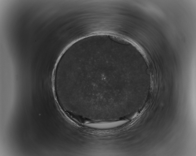 X0000097821102200803201432