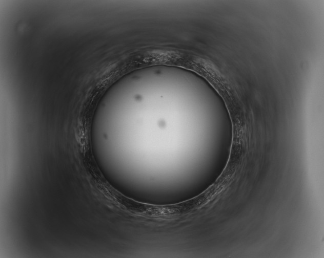 X0000097821109200803201432