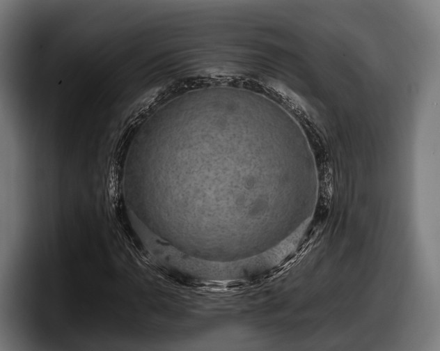 X0000097821110200803201432