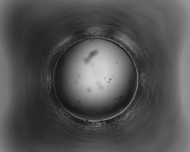 X0000097821111200803201432