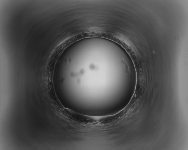 X0000097821112200803201432